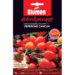 Graines de piment Canacun : Piments rouge-orange en forme de cerise pour massifs, pots et bordures.