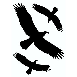 Lot de stickers : Trois silhouettes d'oiseaux noirs en vol.