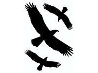 Sticker Sortiment Vögel