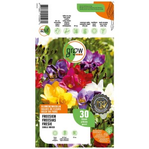 Grow by OBI Freesias Mixed, 30 pezzi: Bulbi da fiore in bianco, giallo, rosa e viola.