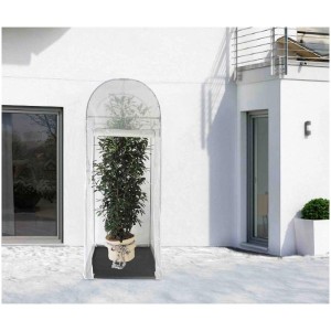 Transparentes Videx Frostschutzhaus Palm-Protect (250x100x100cm) schützt eine Pflanze im Winter.