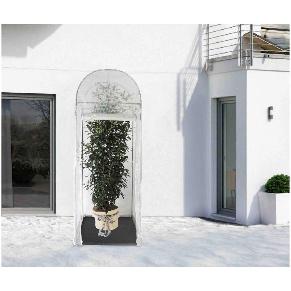 videx-frostschutzhaus-palm-protect-transparent-hxbxt-250-x-100-x-100