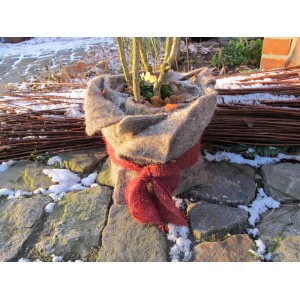 Pianta in vaso avvolta con nastro di iuta rosso Videx Garden per protezione invernale.