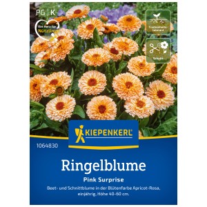 Graines de souci Kiepenkerl Pink Surprise aux fleurs rose abricot.