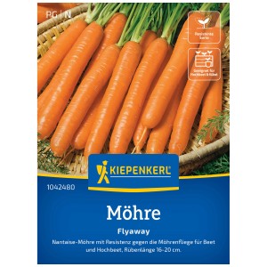Graines de carotte Kiepenkerl Flyaway : carottes Nantaise, résistantes à la mouche de la carotte, pour plates-bandes et potagers surélevés.