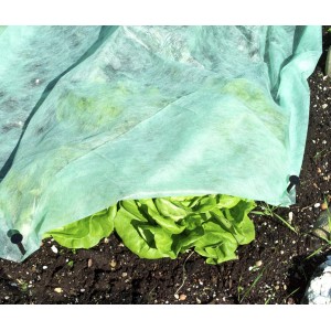 Voile de croissance vert Windhager Supergrow recouvrant de la laitue dans un jardin.