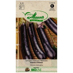 Graines biologiques d'aubergine Violetta di Rimini pour serre et pleine terre.