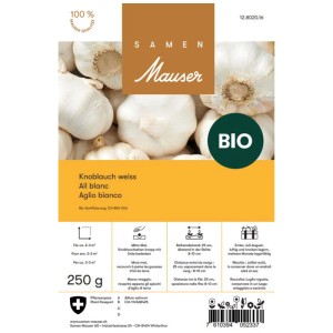 Samen Mauser Aglio Biologico, confezione da 250g per patate da semina e bulbilli.