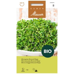 Confezione Samen Mauser Microgreen Broccoli Rapp biologico, con germogli verdi freschi e steli bianchi.