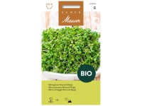 Samen Mauser Bio-Microgreen Broccoli Rapp