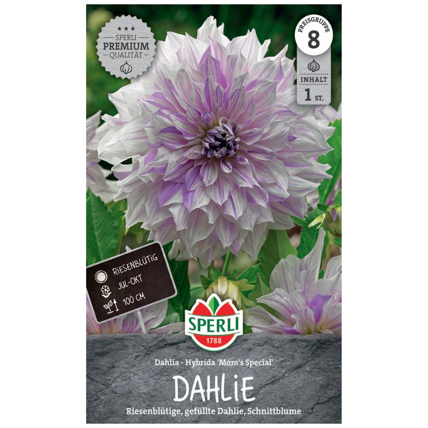 100 Graines De Bleuet - Fleurs Plante Mellifère Jardin- Semences Paysannes Reproductibles - SemiSauvage