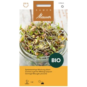 Mix di semi piccanti in vetro: fagioli mung, ravanello, senape, lenticchie per germogli.