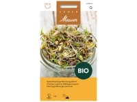 Keimsamen pikante Mischung