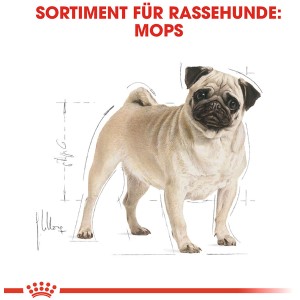 Illustrazione di un carlino in piedi. Royal Canin Pug Adult cibo secco per carlini.