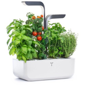Véritable Indoor Herb Garden Connect Grigio con basilico, pomodori ed erbe aromatiche.