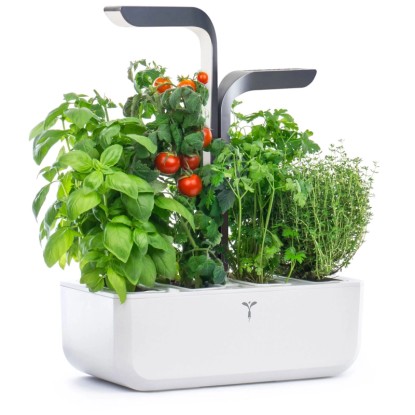 Véritable Indoor Kräutergarten Connect Grau