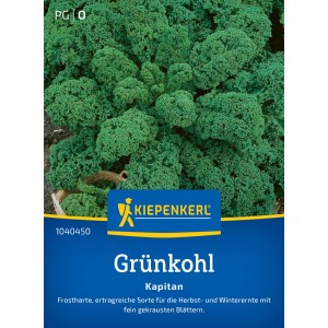 Kiepenkerl Chou frisé Kapitan F1-Hybride : Feuilles vert foncé finement frisées sur le sachet de graines.