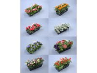 Beet- und Balkonpflanzen-Mischung 10er-Pack