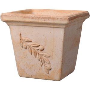 Vaso per piante Deroma Quadro Olive, 25 cm, terracotta con decoro ramo d'ulivo.