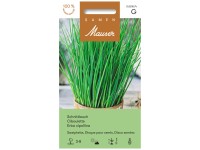 Saatplatte Schnittlauch