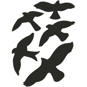 Set de stickers oiseaux, 35 x 25 cm, pour voiture ou moto.