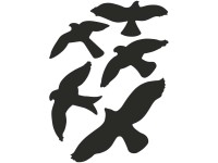 Sticker-Set Vögel 35 x 25 cm