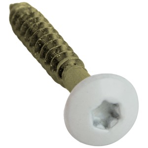 Vite per pannelli Denpanels TX 20, verde, 4x30 mm, per montaggio pannelli.