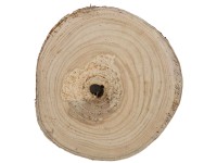 DecoFinder Holzscheibe Paulownia 3 x 20 x 20 cm