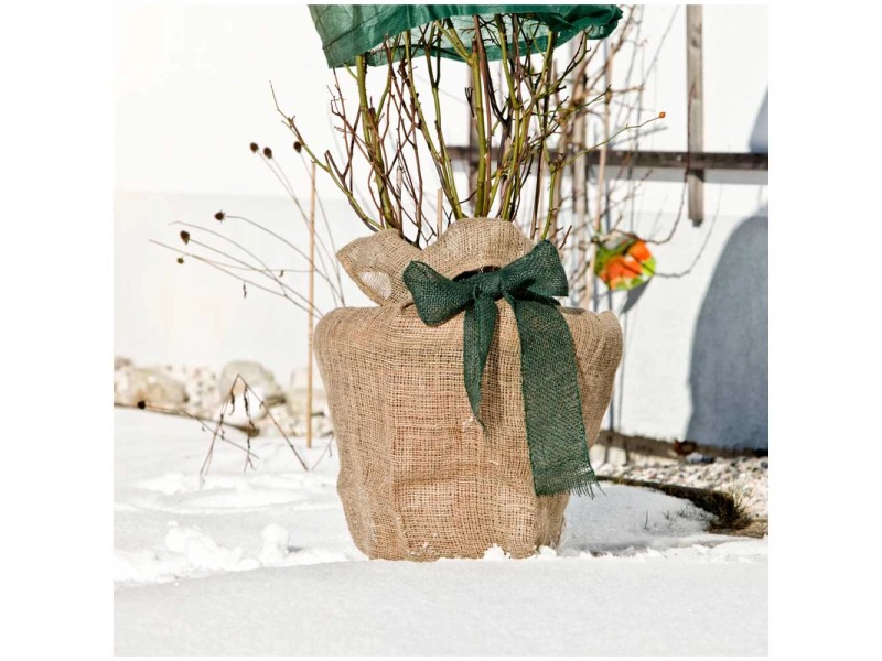 Windhager Nastro di iuta arrotolato, protezione invernale, 10