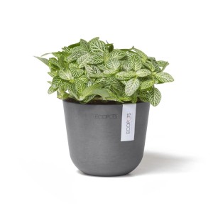 Pot de fleurs Ecopots Oslo Mini, gris, 11,5x10cm, avec plante. Idéal pour l'intérieur et l'extérieur.