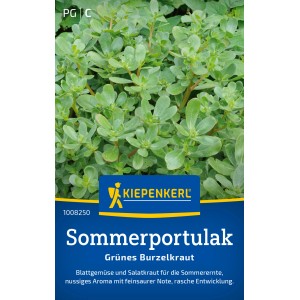 Kiepenkerl Pourpier d'été : Légume-feuille vert frais pour salades et plats de légumes.