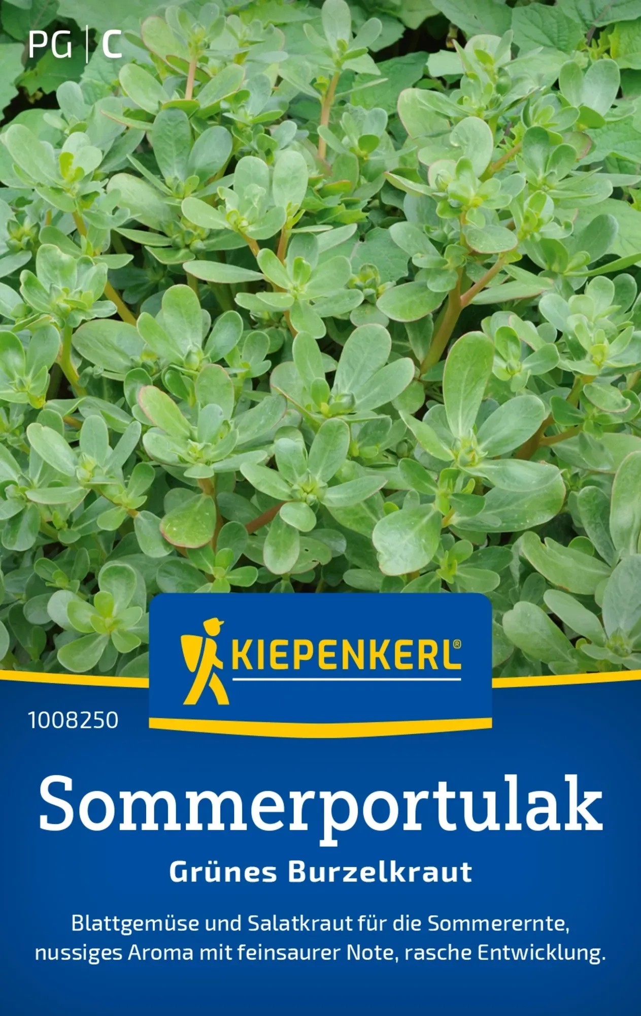 Kiepenkerl Portulak Sommerportulak Kaufen Bei OBI portulak-gem-se-portulak-sommer-portulak