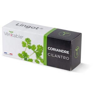 Véritable Lingot semi di coriandolo ricarica per giardini interni.