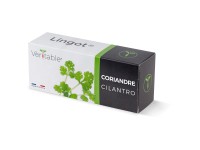 Véritable Lingot Kräutersamen Koriander