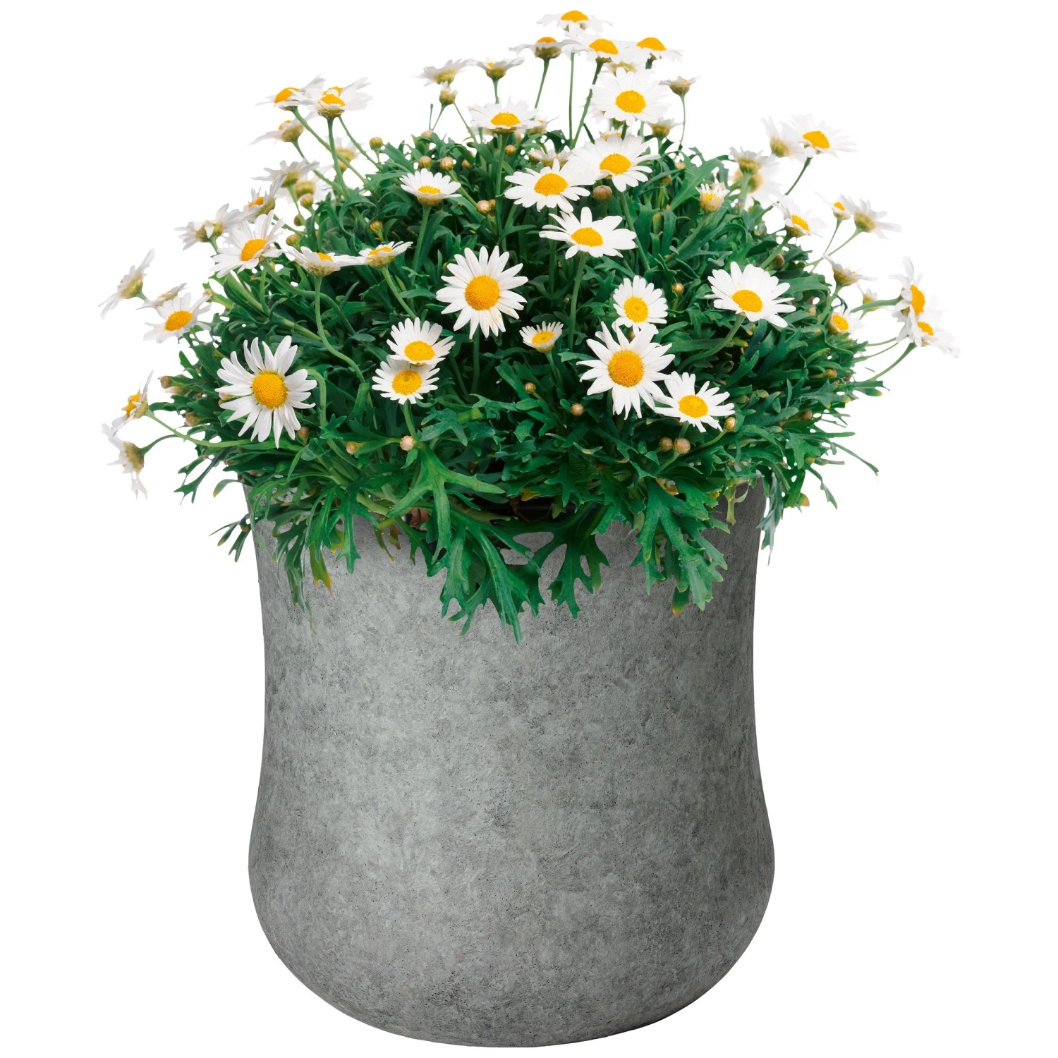 Vaso Rotondo Per Piante 33 Cm Grigio - Fioriera Resistente Per Interni/esterni