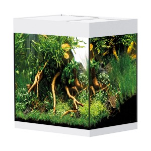 Oase Aquarium StyleLine 85 blanc, aquarium d'eau douce planté avec meuble.