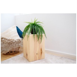 Bloc en pin massif utilisé comme tabouret ou table d'appoint décoré avec une plante.