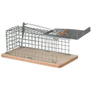 Piège à souris à cage métallique : Piège vivant en fil de fer et bois, robuste et facile à utiliser.
