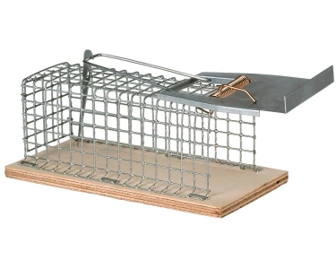 Piège à cage métallique pour souris
