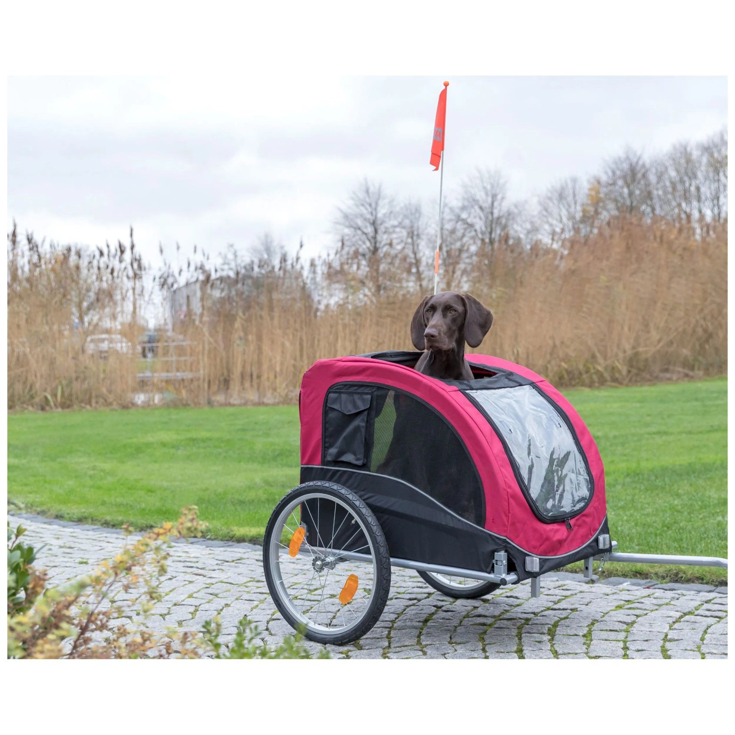fahrradhelm wandhalterung Fahrradhelm Halterung Wandhalterung Helmhalter main image 0