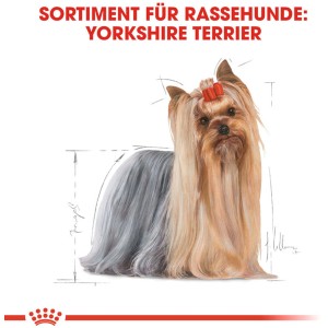 Illustrazione di uno Yorkshire Terrier per cibo per cani Royal Canin.