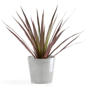 Pot de fleurs Ecopots Amsterdam Mini, blanc-gris, 13 cm, avec plante. Idéal pour l'intérieur et l'extérieur.