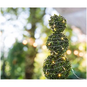 Catena luminosa solare Globo, nera, con 120 LED, avvolta intorno a un bosso.