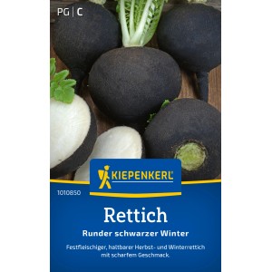 Radis Kiepenkerl 'Noir d'hiver', graines potagères. Radis noirs ronds avec feuilles vertes.