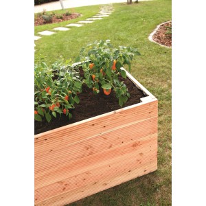 Carré potager surélevé en douglas (100x200x72,5 cm) avec des plantes dans le jardin.