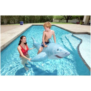Bouée gonflable requin Bestway avec enfant dans la piscine, requin gonflable avec poignées.