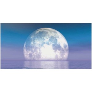 Quadro su tela Luna (50x100 cm): Rappresentazione dettagliata della luna sull'acqua.