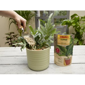 Seramis Topper Limestone 1L viene versato in una pianta in vaso, confezione accanto.