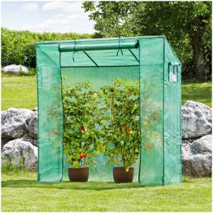 Serre à tomates verte avec des plants de tomates dans le jardin.