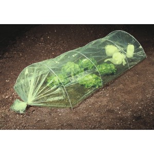 Tunnel de forçage vert Windhager protégeant la salade au jardin, peu encombrant et facile à installer.
